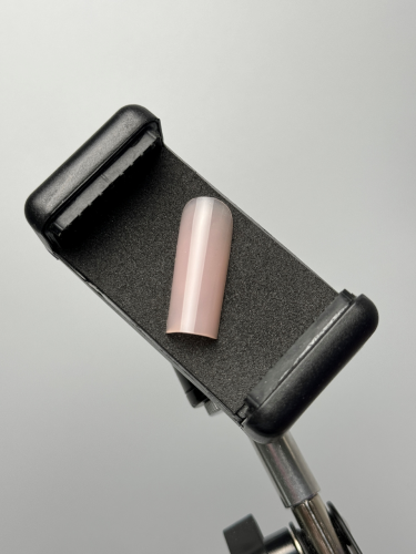 cover base bb 6 (3).png