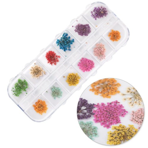 5903990595141-Suszone-kwiaty-do-zdobien-paznokci-w-kasetce-Molly-Nails-rodzaj-A-24szt-1.webp