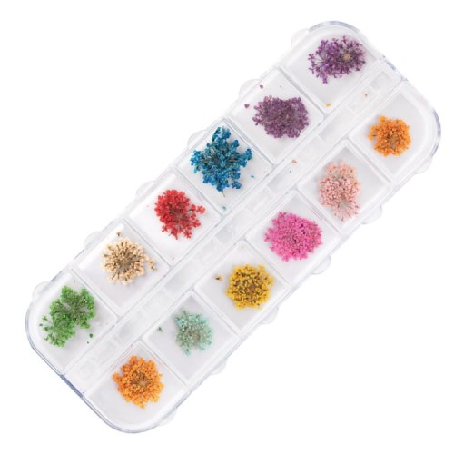 5903990595141-Suszone-kwiaty-do-zdobien-paznokci-w-kasetce-Molly-Nails-rodzaj-A-24szt-3.webp